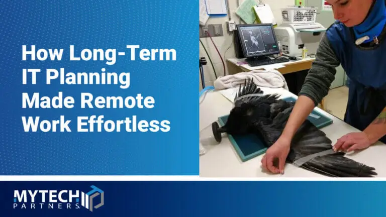 Wildlife care facility using technology to support long-term IT planning and remote work